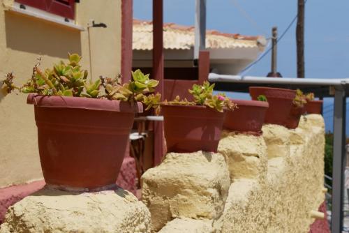 Greece I4picture IJkema flowerpot