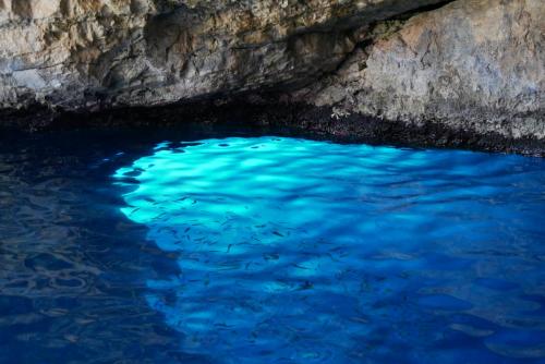 Greece I4picture IJkema Blue Cave Fish