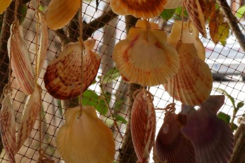 Greece I4picture IJkema Shell