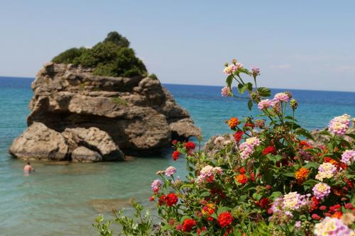 Greece I4picture IJkema Zakynthos 