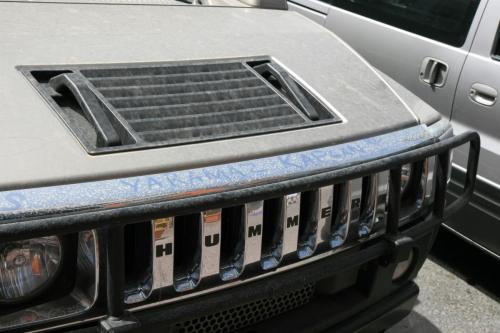 IJkema IJkemaweb i4photo  Dubai Hummer